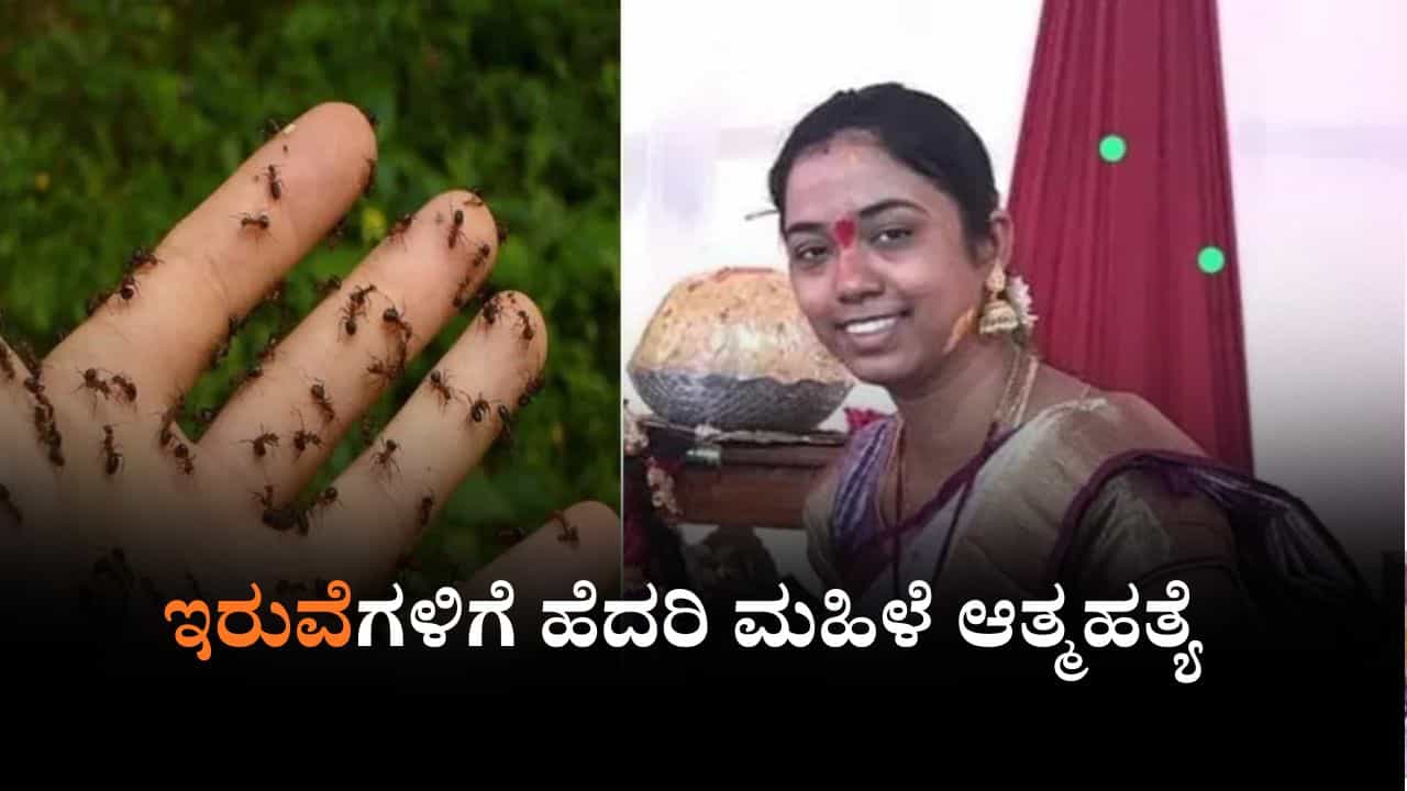 ಇರುವೆಗಳಿಗೆ ಹೆದರಿ ಮಹಿಳೆ ಆತ್ಮಹತ್ಯೆ, ಪತಿಗೊಂದು ಸಂದೇಶ ಬರೆದಿಟ್ಟಿದ್ದ ಪತ್ನಿ ಇರುವೆಗಳಿಗೆ ಹೆದರಿ ಮಹಿಳೆ ಆತ್ಮಹತ್ಯೆ, ಪತಿಗೊಂದು ಸಂದೇಶ ಬರೆದಿಟ್ಟಿದ್ದ ಪತ್ನಿ