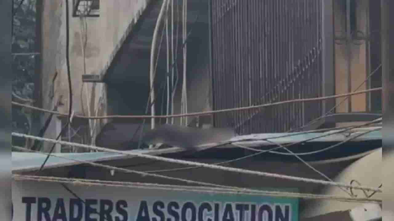 ದೆಹಲಿ: ಸ್ಫೋಟ ನಡೆದ ಸ್ಥಳದಿಂದ 300 ಮೀಟರ್ ದೂರದಲ್ಲಿರುವ ಅಂಗಡಿಯ ಮೇಲ್ಛಾವಣಿ ಮೇಲಿತ್ತು ಕತ್ತರಿಸಿದ ತೋಳು