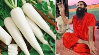 ಈ ಸಿಂಪಲ್‌ ಟಿಪ್ಸ್‌ ಪಾಲಿಸಿದ್ರೆ ಸೊಳ್ಳೆಗಳು ಮನೆಯೊಳಗೆ ಬರೋದೇ ಇಲ್ಲ