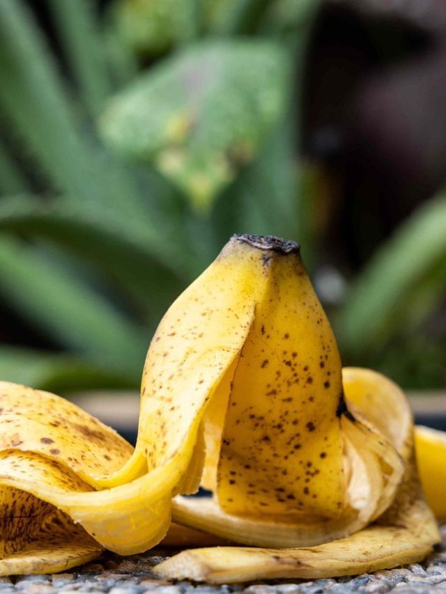 ಬಾಳೆಹಣ್ಣಿನ ಸಿಪ್ಪೆಯಿಂದ ಟಾಯ್ಲೆಟ್‌ ಕ್ಲೀನಿಂಗ್: ನೈಸರ್ಗಿಕ ಕಲೆ ನಿವಾರಕ ಹ್ಯಾಕ್