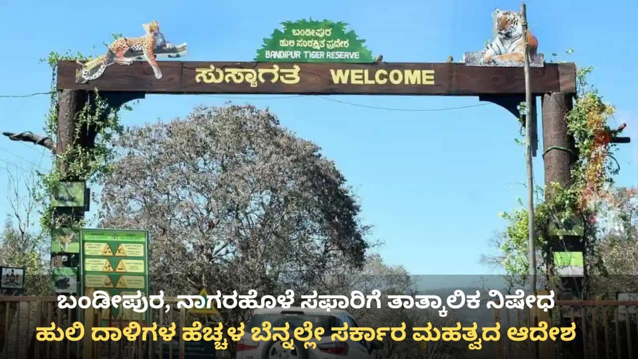 ಹುಲಿ ದಾಳಿ ಭೀತಿ: ಬಂಡೀಪುರ, ನಾಗರಹೊಳೆ ಸಫಾರಿಗೆ ತಾತ್ಕಾಲಿಕ ನಿಷೇಧ ಹುಲಿ ದಾಳಿ ಭೀತಿ: ಬಂಡೀಪುರ, ನಾಗರಹೊಳೆ ಸಫಾರಿಗೆ ತಾತ್ಕಾಲಿಕ ನಿಷೇಧ