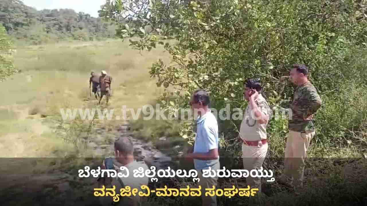 ಬೆಳಗಾವಿ: ಖಾನಾಪುರ ಸುಳೆಗಾಳಿಯಲ್ಲಿ ವಿದ್ಯುತ್ ತಂತಿ ಸ್ಪರ್ಶಿಸಿ 2 ಕಾಡಾನೆ ಸಾವು, ರೈತನ ಬಂಧನ