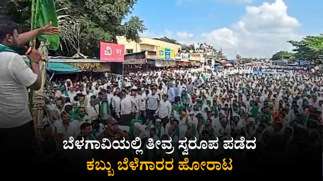 ಬೆಳಗಾವಿ: ಕಬ್ಬು ಬೆಳೆಗಾರರ ಹೋರಾಟ ತೀವ್ರ, ಪ್ರಮುಖ ಭಾಗದಲ್ಲಿ ಶಾಲೆ-ಕಾಲೇಜುಗಳಿಗೆ ರಜೆ