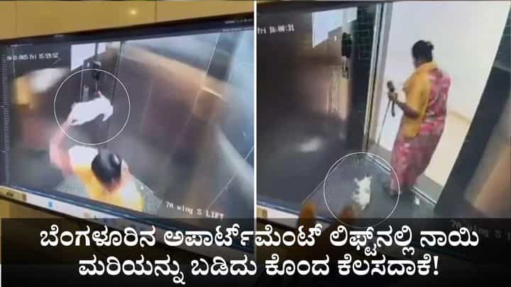ಬೆಂಗಳೂರಿನ ಅಪಾರ್ಟ್ಮೆಂಟ್ ಲಿಫ್ಟ್ನಲ್ಲಿ ನಾಯಿ ಮರಿಯನ್ನು ಬಡಿದು ಕೊಂದ ಕೆಲಸದಾಕೆ! ಬೆಂಗಳೂರಿನ ಅಪಾರ್ಟ್ಮೆಂಟ್ ಲಿಫ್ಟ್ನಲ್ಲಿ ನಾಯಿ ಮರಿಯನ್ನು ಬಡಿದು ಕೊಂದ ಕೆಲಸದಾಕೆ!