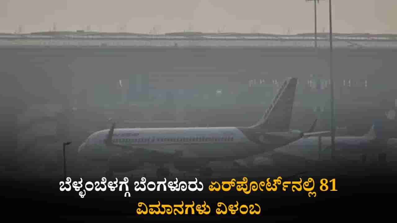 ಮಂಜು ಮುಸುಕಿದ ವಾತಾವರಣ: ಬೆಂಗಳೂರು ವಿಮಾನ ನಿಲ್ದಾಣದಲ್ಲಿ 81 ವಿಮಾನಗಳ ಸಂಚಾರದಲ್ಲಿ ವ್ಯತ್ಯಯ