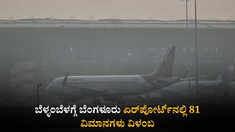 ಮಂಜು ಮುಸುಕಿದ ವಾತಾವರಣ: ಬೆಂಗಳೂರು ವಿಮಾನ ನಿಲ್ದಾಣದಲ್ಲಿ 81 ವಿಮಾನಗಳ ಸಂಚಾರದಲ್ಲಿ ವ್ಯತ್ಯಯ