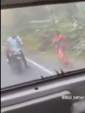 ಅಬ್ಬಾಬ್ಬ… ದಂಪತಿ ಹುಲಿ ಬಾಯಿಂದ ಜಸ್ಟ್ ಮಿಸ್