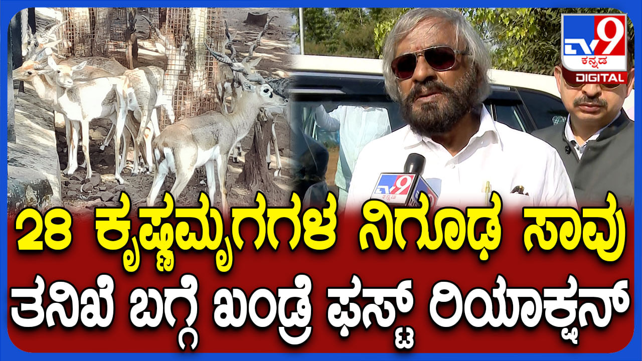ಬೆಳಗಾವಿಯಲ್ಲಿ 28 ಕೃಷ್ಣಮೃಗಗಳ ಸಾವು: ತನಿಖೆ ಬಗ್ಗೆ ಸಚಿವ ಈಶ್ವರ್ ಖಂಡ್ರೆ ಮಾತು ಬೆಳಗಾವಿಯಲ್ಲಿ 28 ಕೃಷ್ಣಮೃಗಗಳ ಸಾವು: ತನಿಖೆ ಬಗ್ಗೆ ಸಚಿವ ಈಶ್ವರ್ ಖಂಡ್ರೆ ಮಾತು