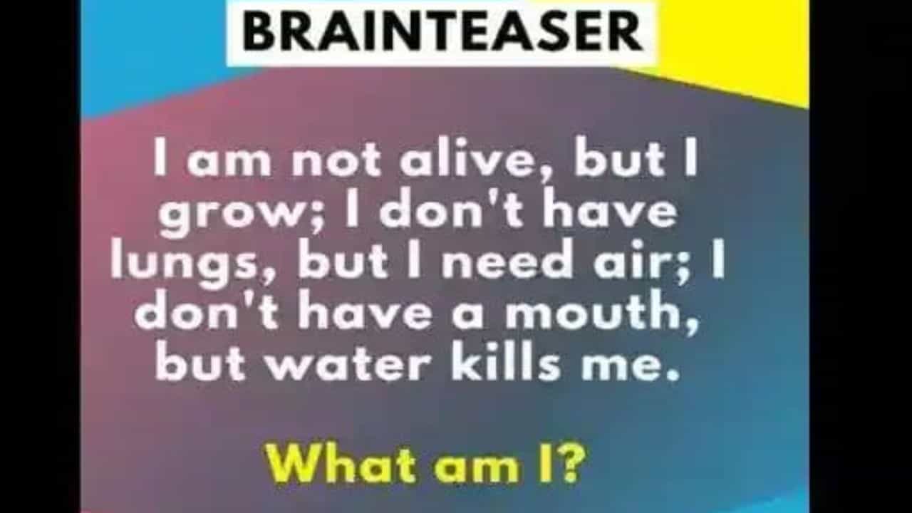 Brain Teaser: ನಾನು ಬದುಕಿಲ್ಲ, ಆದ್ರೂ ಬೆಳಿತೀನಿ ನಾನ್ಯಾರು; ಈ ಒಗಟಿನ ಉತ್ತರ ಹೇಳಿದ್ರೆ ನೀವು ಜಾಣರು