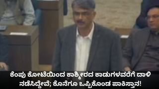 ಕೆಂಪು ಕೋಟೆಯಿಂದ ಕಾಶ್ಮೀರದ ಕಾಡುಗಳವರೆಗೆ ಭಾರತದ ಮೇಲೆ ದಾಳಿ ನಡೆಸಿದ್ದೇವೆ; ಕೊನೆಗೂ ಒಪ್ಪಿಕೊಂಡ ಪಾಕಿಸ್ತಾನ!