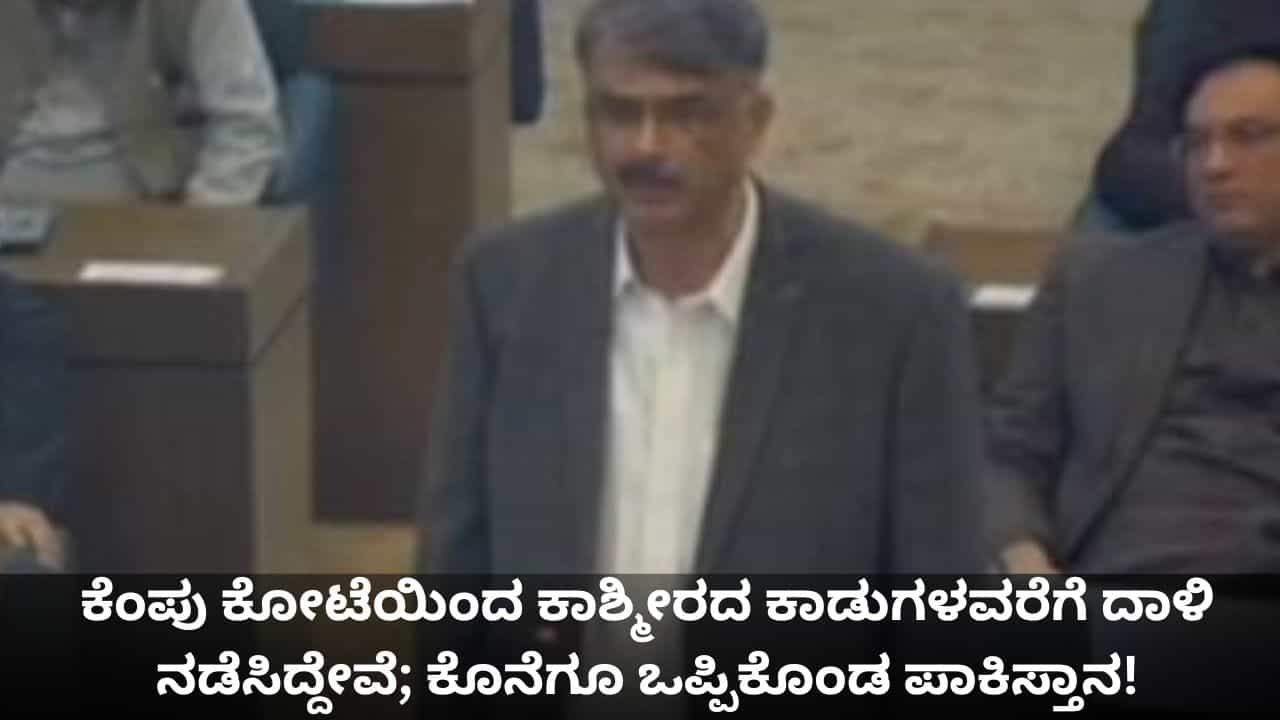 ಕೆಂಪು ಕೋಟೆಯಿಂದ ಕಾಶ್ಮೀರದ ಕಾಡುಗಳವರೆಗೆ ಭಾರತದ ಮೇಲೆ ದಾಳಿ ನಡೆಸಿದ್ದೇವೆ; ಕೊನೆಗೂ ಒಪ್ಪಿಕೊಂಡ ಪಾಕಿಸ್ತಾನ!