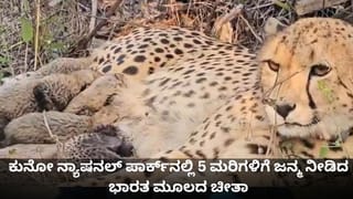 Optical Illusion: ಜನರ ಗುಂಪಿನಲ್ಲಿ ಮರೆಮಾಡಲಾಗಿರುವ ಬಟ್ಟಲನ್ನು ಹುಡುಕಿ ನೋಡೋಣ