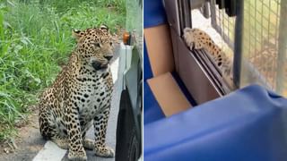 ಕಸ ಗುಡಿಸುವ ಯಂತ್ರಕ್ಕೆ ಕೋಟಿ ಕೋಟಿ ಬಾಡಿಗೆ: ರಾಜ್ಯ ಸರ್ಕಾರದಿಂದ ವಿವಾದಿತ ನಿರ್ಧಾರ