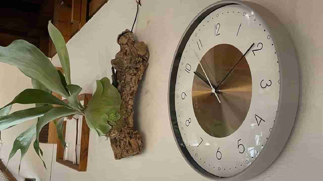 Clock Vastu Tips: ಮನೆಯಲ್ಲಿ ಒಂದಕ್ಕಿಂತ ಹೆಚ್ಚು ಗಡಿಯಾರ ಇಡಬಹುದೇ? ವಾಸ್ತು ತಜ್ಞರು ಹೇಳುವುದೇನು?