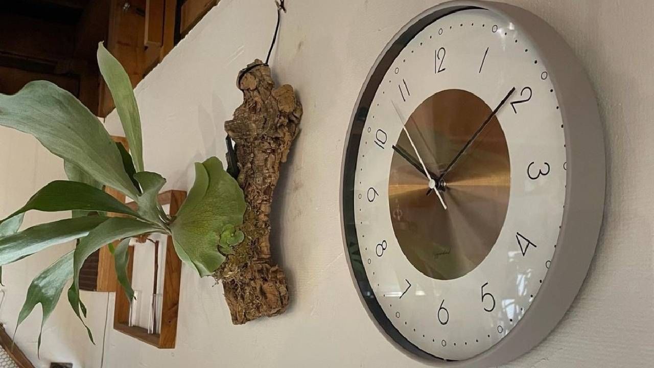Clock Vastu Tips: ಮನೆಯಲ್ಲಿ ಒಂದಕ್ಕಿಂತ ಹೆಚ್ಚು ಗಡಿಯಾರ ಇಡಬಹುದೇ? ವಾಸ್ತು ತಜ್ಞರು ಹೇಳುವುದೇನು? Clock Vastu Tips: ಮನೆಯಲ್ಲಿ ಒಂದಕ್ಕಿಂತ ಹೆಚ್ಚು ಗಡಿಯಾರ ಇಡಬಹುದೇ? ವಾಸ್ತು ತಜ್ಞರು ಹೇಳುವುದೇನು?