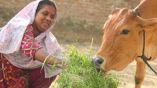 Daily Devotional: ಸಾಕು ಪ್ರಾಣಿ- ಪಕ್ಷಿಗಳನ್ನು ಪಂಜರಗಳಲ್ಲಿ ಬಂಧಿಸಿ ಇಡಬಹುದಾ? ಜ್ಯೋತಿಷ್ಯ ಸಲಹೆ ಇಲ್ಲಿದೆ