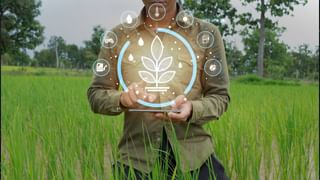 PM Fasal Bima Yojana: ಬೆಳೆ ವಿಮೆ ವ್ಯಾಪ್ತಿ ಹೆಚ್ಚಳ; ಅಪಾಯ ಮೂಲಗಳ ಪಟ್ಟಿಗೆ ಕಾಡುಪ್ರಾಣಿಗಳೂ ಸೇರ್ಪಡೆ