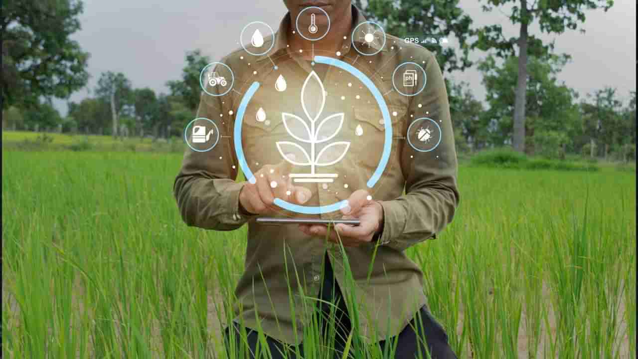 PM Fasal Bima Yojana: ಬೆಳೆ ವಿಮೆ ವ್ಯಾಪ್ತಿ ಹೆಚ್ಚಳ; ಅಪಾಯ ಮೂಲಗಳ ಪಟ್ಟಿಗೆ ಕಾಡುಪ್ರಾಣಿಗಳೂ ಸೇರ್ಪಡೆ