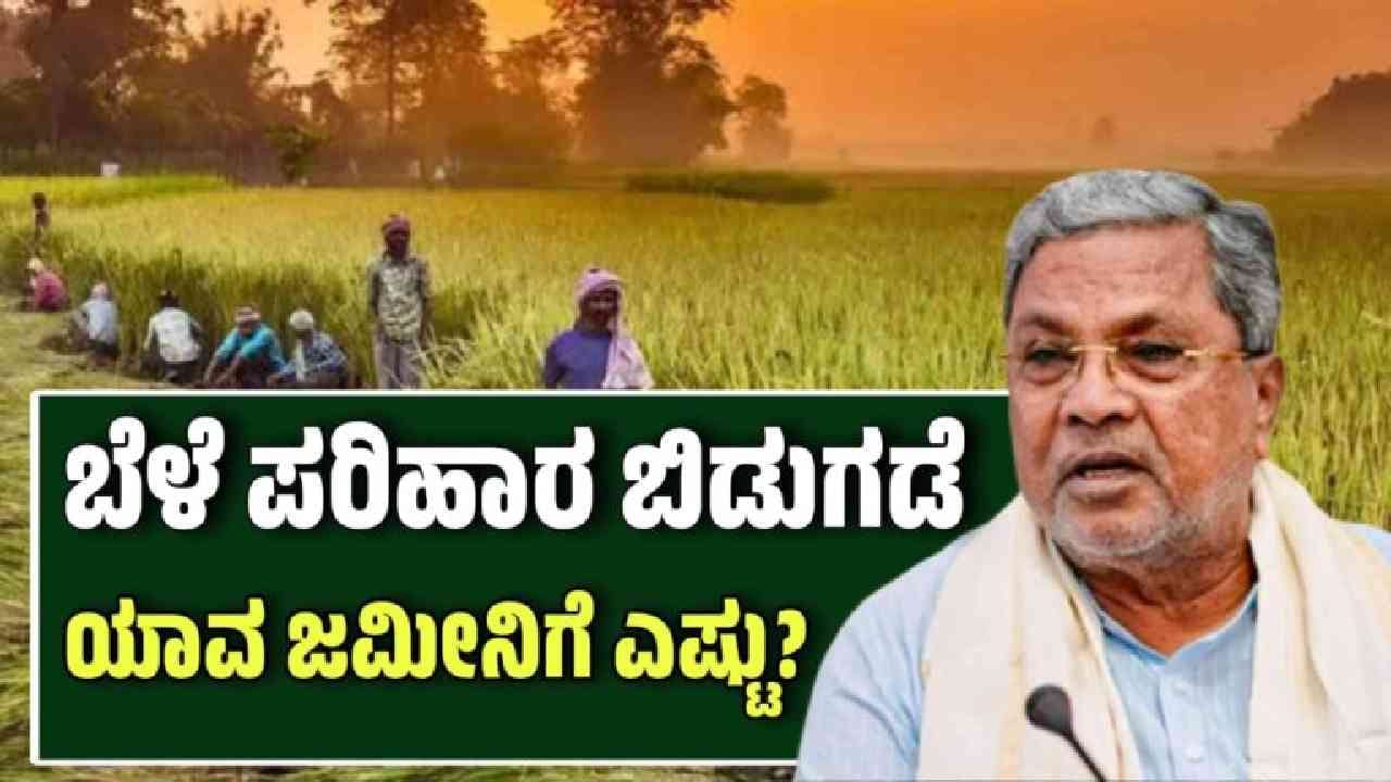 ರೈತರಿಗೆ ಗುಡ್‌ ನ್ಯೂಸ್‌: ಬೆಳೆ ಪರಿಹಾರ ಹಣ ಬಿಡುಗಡೆ, ಯಾವ್ಯಾವ ಬೆಳೆಗೆ ಎಷ್ಟೆಷ್ಟು?