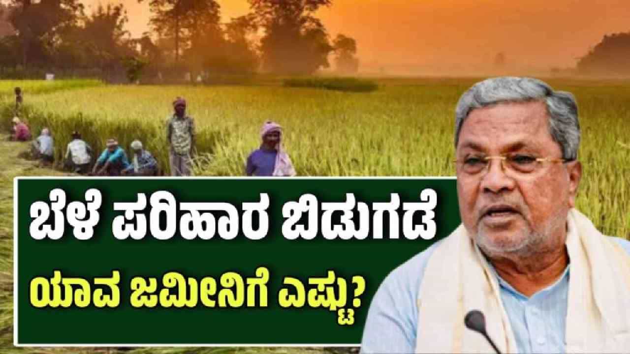 ರೈತರಿಗೆ ಗುಡ್ ನ್ಯೂಸ್: ಬೆಳೆ ಪರಿಹಾರ ಹಣ ಬಿಡುಗಡೆ, ಯಾವ್ಯಾವ ಬೆಳೆಗೆ ಎಷ್ಟೆಷ್ಟು? ರೈತರಿಗೆ ಗುಡ್ ನ್ಯೂಸ್: ಬೆಳೆ ಪರಿಹಾರ ಹಣ ಬಿಡುಗಡೆ, ಯಾವ್ಯಾವ ಬೆಳೆಗೆ ಎಷ್ಟೆಷ್ಟು?