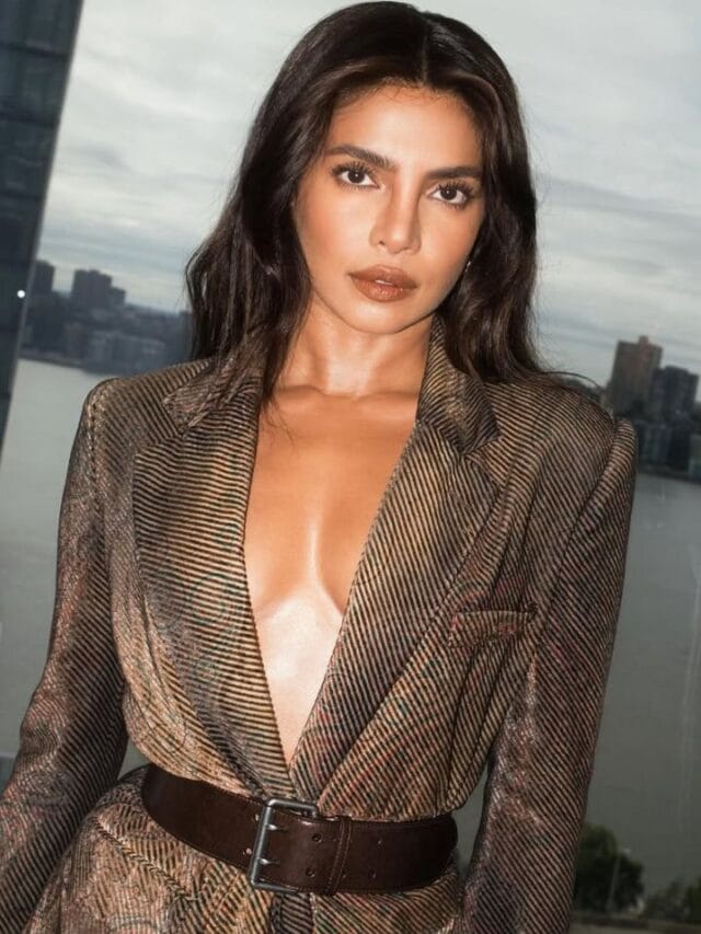 ದೀಪಿಕಾ ಪಡುಕೋಣೆ ಸ್ಥಾನಕ್ಕೆ ಪ್ರಿಯಾಂಕಾ ಚೋಪ್ರಾ: ಡಬಲ್ ಧಮಾಕ