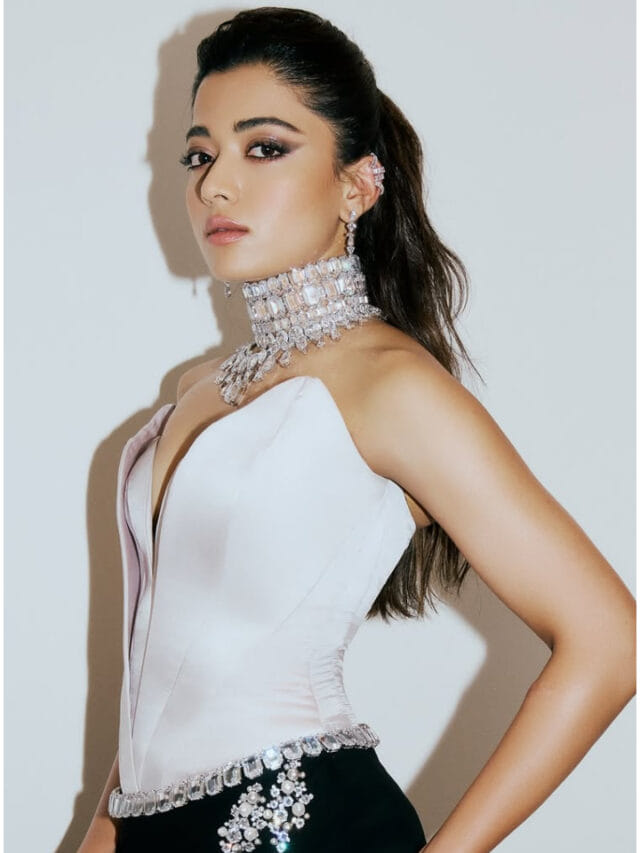 ಮತ್ತೊಬ್ಬ ಖಾನ್ ಜೊತೆಗೆ ನಟಿಸಲಿದ್ದಾರೆ ನಟಿ ರಶ್ಮಿಕಾ ಮಂದಣ್ಣ