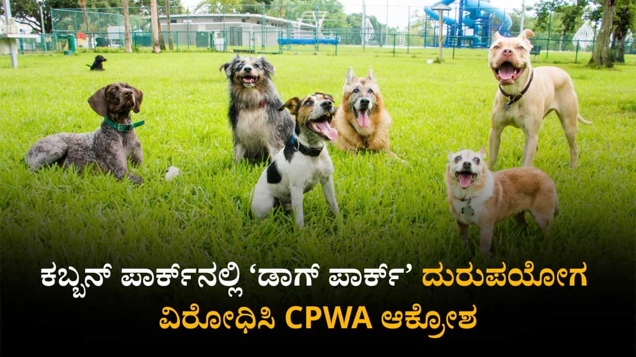 ಬೆಂಗಳೂರು: ಕಬ್ಬನ್ ಪಾರ್ಕ್‌ನಲ್ಲಿ ‘ಡಾಗ್ ಪಾರ್ಕ್’ ದುರುಪಯೋಗ ವಿರೋಧಿಸಿ ಜನರ ಆಕ್ರೋಶ; ಶೀಘ್ರದಲ್ಲೇ ಪ್ರತಿಭಟನೆಗೆ ಸಿಪಿಡಬ್ಲೂಎ ಘೋಷಣೆ
