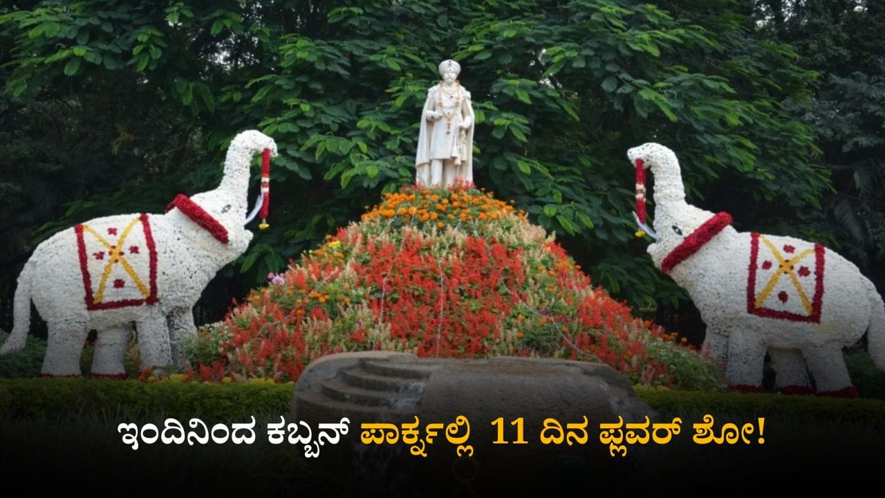 ಬೆಂಗಳೂರು: ಇಂದಿನಿಂದ ಡಿಸೆಂಬರ್ 7ರವರೆಗೆ ಕಬ್ಬನ್ ಪಾರ್ಕ್​ನಲ್ಲಿ ಫ್ಲವರ್ ಶೋ!