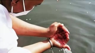 Vasthu Tips: ಮನೆಯ ಮುಖ್ಯ ದ್ವಾರದ ಬಳಿ ಈ ಗಿಡ ನೆಡಿ, ಲಕ್ಷ್ಮಿಯ ಆಶೀರ್ವಾದ ಸದಾ ನಿಮ್ಮ ಮೇಲಿರುತ್ತದೆ