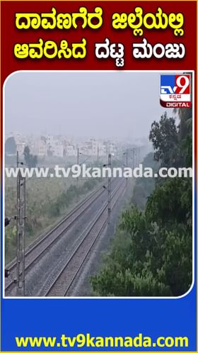 ದಾವಣಗೆರೆಯಲ್ಲಿ ದಟ್ಟ ಮಂಜು: ರೈಲು, ವಾಹನ ಸಂಚಾರಕ್ಕೆ ಪರದಾಟ