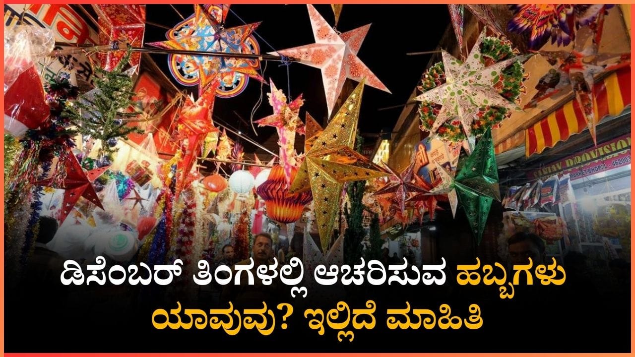 December Festival List 2025: ಡಿಸೆಂಬರ್ ತಿಂಗಳಲ್ಲಿ ಆಚರಿಸುವ ಹಬ್ಬಗಳು ಯಾವುವು? ಇಲ್ಲಿದೆ ಮಾಹಿತಿ