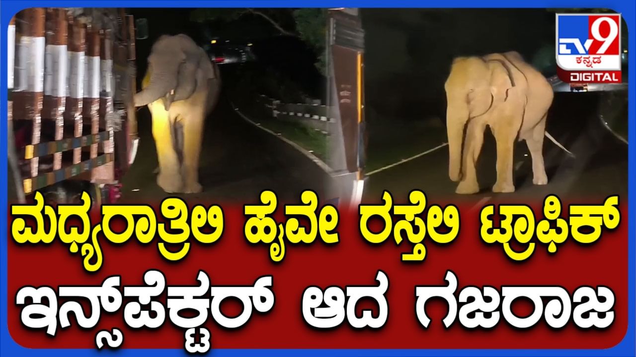 ಚಾಮರಾಜನಗರ ತಮಿಳುನಾಡು ಗಡಿ ದಿಂಬಂ ಘಾಟ್​ನಲ್ಲಿ ಕಾಡಾನೆ ಉಪಟಳ: ವಿಡಿಯೋ ವೈರಲ್