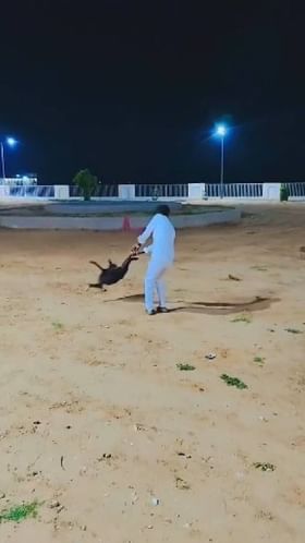 ಅಯ್ಯೋ ನನಗೂ ಜೀವ ಇದೆ ಬಿಡಪ್ಪಾ ಬದ್ಕೋತೀನಿ, ನಾಯಿಯ ಮೂಕ ರೋದನೆ