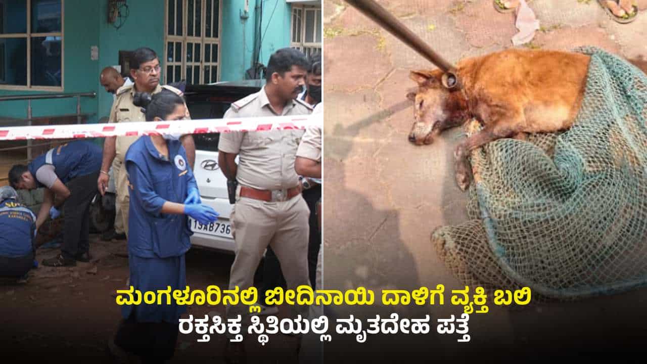 ಬೀದಿನಾಯಿ ದಾಳಿಗೆ ವ್ಯಕ್ತಿ ಬಲಿ: ಕಣ್ಣುಗುಡ್ಡೆಯನ್ನೇ ಕಿತ್ತು ಹಾಕಿದ ಡೆಡ್ಲಿ ಶ್ವಾನ