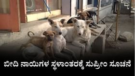ಬೀದಿ ನಾಯಿಗಳ ಸ್ಥಳಾಂತರಕ್ಕೆ ಸುಪ್ರೀಂ ಸೂಚನೆ