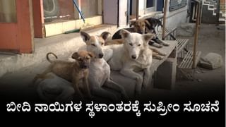 ಏರ್ ಇಂಡಿಯಾ ಅಪಘಾತ, ನಿಮ್ಮ ಮಗನದ್ದು ತಪ್ಪು ಎಂದರೆ ಭಾರತದಲ್ಲಿ ಯಾರೂ ನಂಬುವುದಿಲ್ಲ, ಪೈಲಟ್ ತಂದೆಗೆ ಸುಪ್ರೀಂ ಸಾಂತ್ವನ