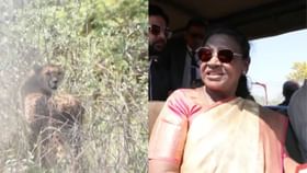 ಭಾರತಕ್ಕೆ ಬರಲಿದೆ ಬೋಟ್ಸ್‌ವಾನಾದ 8 ಚೀತಾ