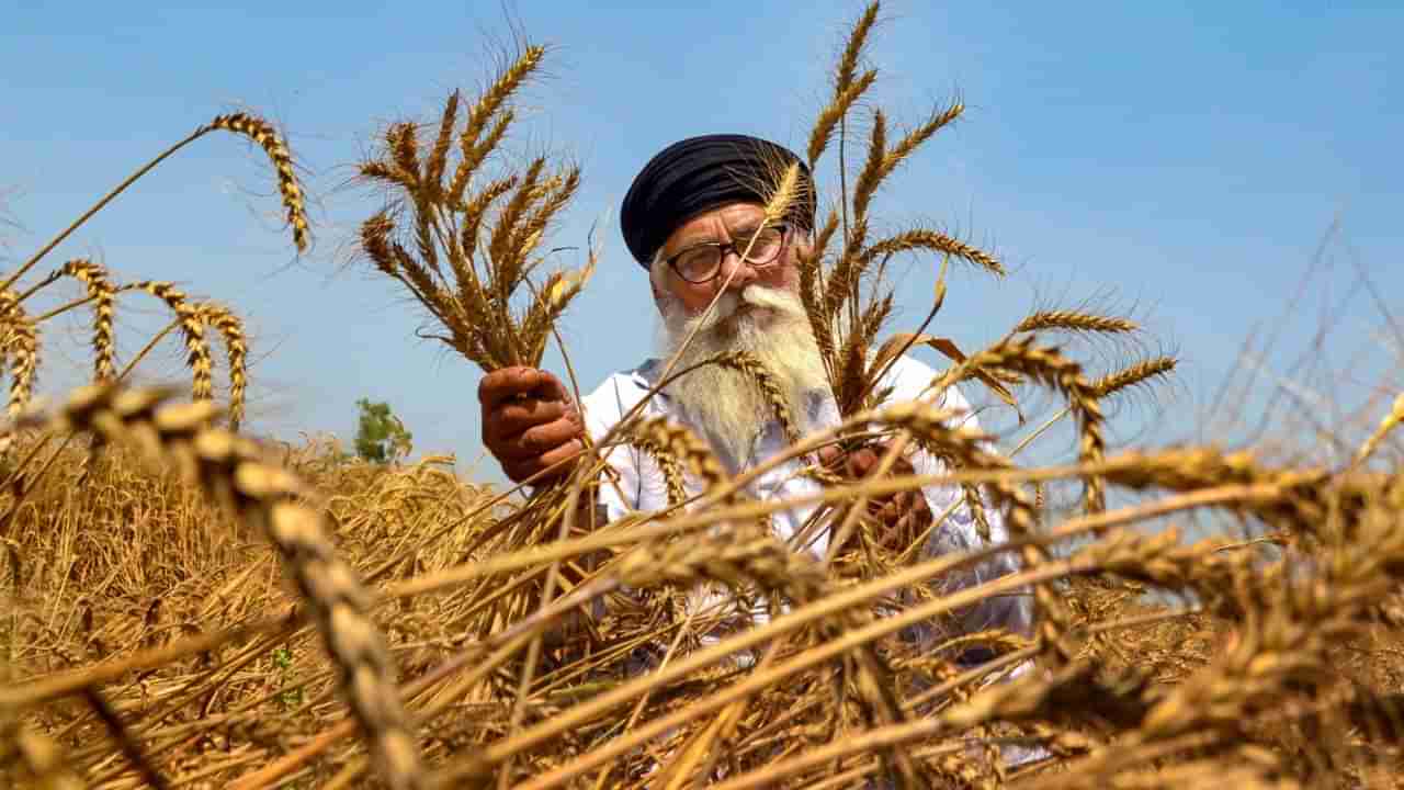 ಏಳು ಕೋಟಿಗೂ ಅಧಿಕ ರೈತರಿಗೆ ಕಿಸಾನ್ ಪೆಹಚಾನ್ ಪತ್ರ; ಏನಿದರ ವಿಶೇಷತೆ?
