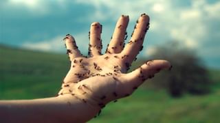 ಮಲಗಿರುವಾಗ ಬಾಯಿಯ ಮೂಲಕ ಉಸಿರಾಡುವ ಅಭ್ಯಾಸ ನಿಮಗಿದ್ಯಾ, ಹಾಗಿದ್ರೆ ಈ ಸ್ಟೋರಿ ತಪ್ಪದೆ ಓದಿ