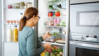 World Jellyfish Day 2025: ಸಾಗರ ಪರಿಸರ ವ್ಯವಸ್ಥೆಯನ್ನು ಸಮತೋಲನದಲ್ಲಿಡುವಲ್ಲಿ ಜೆಲ್ಲಿ ಮೀನುಗಳ ಪಾತ್ರ ಅಪಾರ