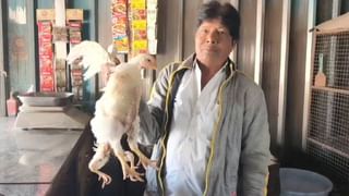 Bihar Government Formation: ಜೆಡಿಯು ಶಾಸಕಾಂಗ ಪಕ್ಷದ ನಾಯಕರಾಗಿ ನಿತೀಶ್ ಕುಮಾರ್ ಆಯ್ಕೆ