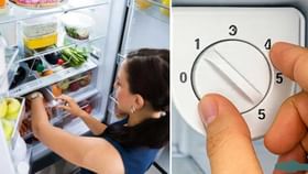 ಚಳಿಗಾಲದಲ್ಲಿ ಫ್ರಿಡ್ಜ್ ನಲ್ಲಿ ತಾಪಮಾನ ಎಷ್ಟು ಇಡಬೇಕು?, ಇದನ್ನು ತಿಳಿಯಿರಿ