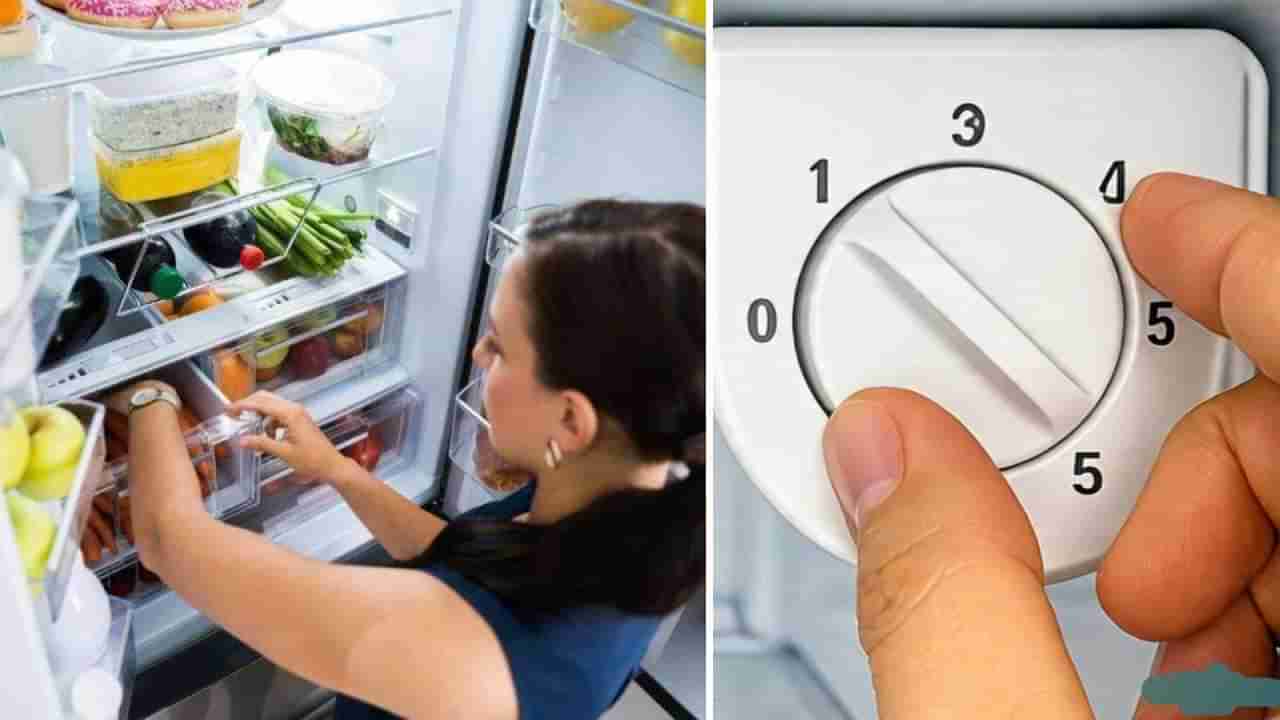 Fridge Temperature Tips: ಚಳಿಗಾಲದಲ್ಲಿ ಫ್ರಿಡ್ಜ್ ನಲ್ಲಿ ತಾಪಮಾನ ಎಷ್ಟು ಇಡಬೇಕು?, ಇದನ್ನು ತಿಳಿಯಿರಿ