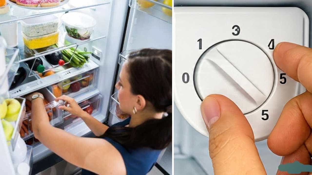 Fridge Temperature Tips: ಚಳಿಗಾಲದಲ್ಲಿ ಫ್ರಿಡ್ಜ್ ನಲ್ಲಿ ತಾಪಮಾನ ಎಷ್ಟು ಇಡಬೇಕು?, ಇದನ್ನು ತಿಳಿಯಿರಿ Fridge Temperature Tips: ಚಳಿಗಾಲದಲ್ಲಿ ಫ್ರಿಡ್ಜ್ ನಲ್ಲಿ ತಾಪಮಾನ ಎಷ್ಟು ಇಡಬೇಕು?, ಇದನ್ನು ತಿಳಿಯಿರಿ