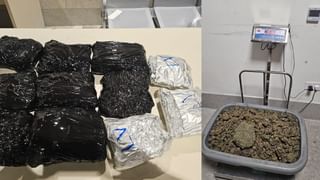 ಬೆಂಗಳೂರಿನ ಏರ್‌ಪೋರ್ಟ್‌ನಲ್ಲಿ 14 ಕೋಟಿ ರೂ. ಮೌಲ್ಯದ ಮಾದಕ ವಸ್ತು ಜಪ್ತಿ; 8 ಬಗೆಯ ಅಪರೂಪದ ಪ್ರಾಣಿಗಳೂ ವಶಕ್ಕೆ