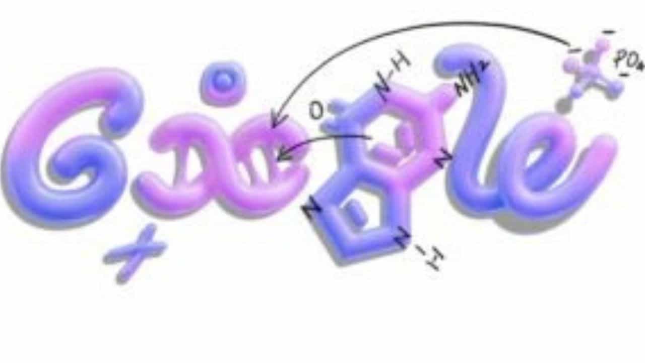 Learning about DNA: ಡಿಎನ್‌ಎ ಕಲಿಕೆಗೆ ಪ್ರೋತ್ಸಾಹಿಸಿ ಡೂಡಲ್ ಮೂಲಕ ವಿಶೇಷ ಗೌರವ ಸಲ್ಲಿಸಿದ ಗೂಗಲ್