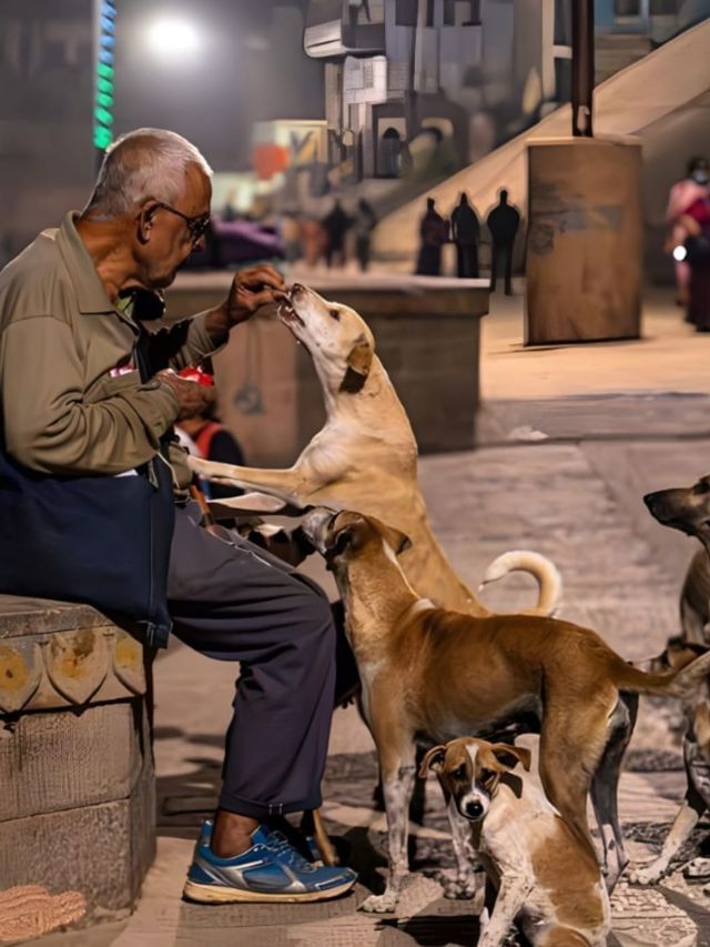 ಜೀವನದಲ್ಲಿ ಖುಷಿ ಬೇಕಂದ್ರೆ ಈ ಟಿಪ್ಸ್‌ ಫಾಲೋ ಮಾಡಿ