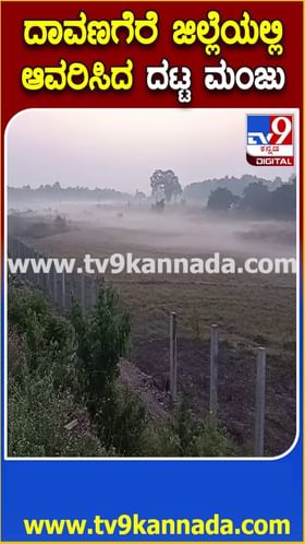 ದಾವಣಗೆರೆ ಜಿಲ್ಲೆಯಲ್ಲಿ ಆವರಿಸಿದ ದಟ್ಟ ಮಂಜು