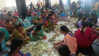 ಹಾವೇರಿಯ ರೈತನ ಜಮೀನಿನಲ್ಲಿ ಮತ್ತೆ ಕಾಣಿಸಿಕೊಂಡ ಚಿರತೆ; ಸಿಸಿ ಕ್ಯಾಮೆರಾ ದೃಶ್ಯ ಇಲ್ಲಿದೆ ನೋಡಿ