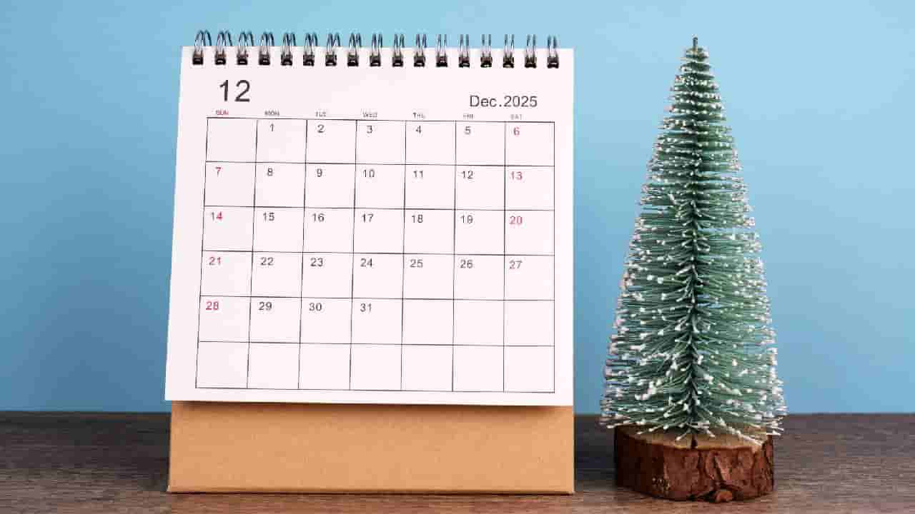 Important Days in December: ಡಿಸೆಂಬರ್‌ ತಿಂಗಳಲ್ಲಿ ಆಚರಿಸಲಾಗುವ ರಾಷ್ಟ್ರೀಯ, ಅಂತಾರಾಷ್ಟ್ರೀಯ ದಿನಗಳ ಪಟ್ಟಿ